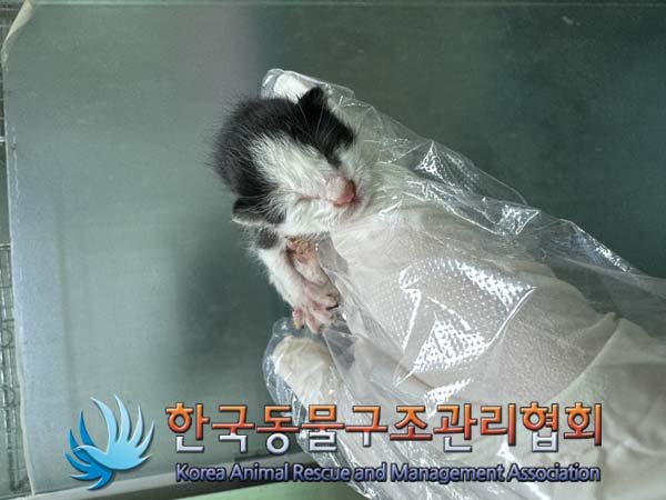 한국동물구조관리협회_411310202400597